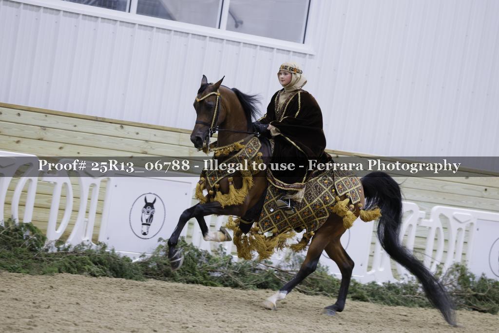 Proof Number 25R13_06788