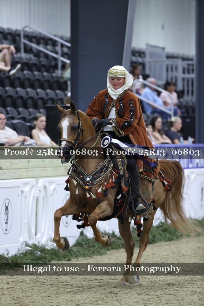 Proof Number 25R13_06803