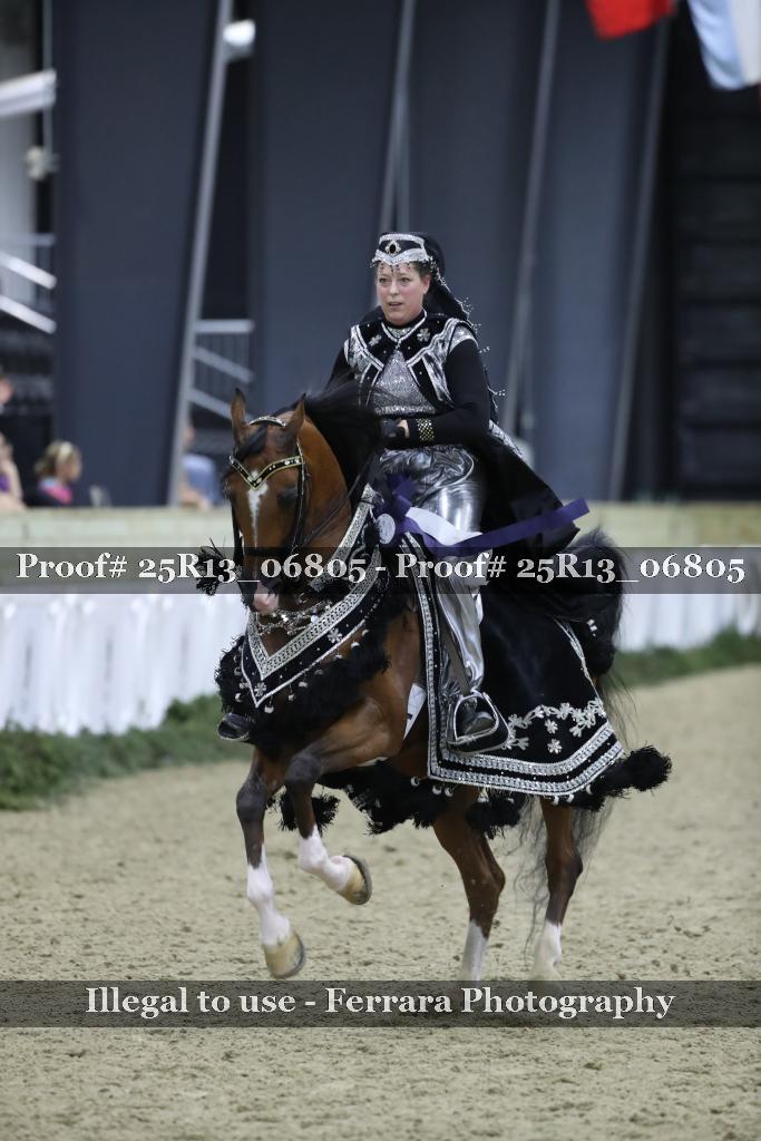 Proof Number 25R13_06805