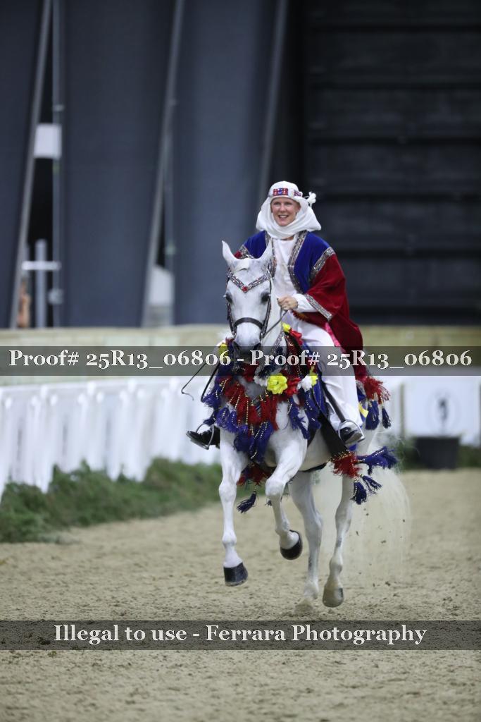Proof Number 25R13_06806