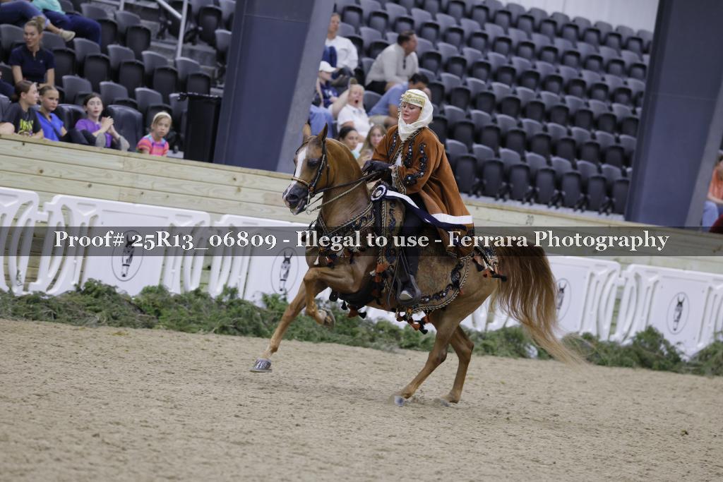 Proof Number 25R13_06809