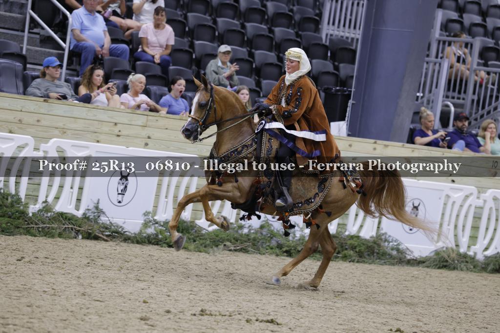 Proof Number 25R13_06810