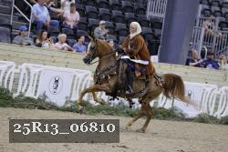 25R13_06810 thumbnail