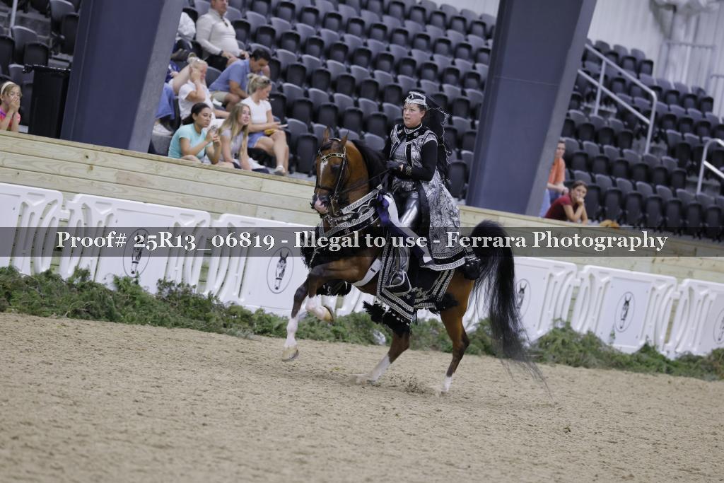Proof Number 25R13_06819