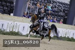 25R13_06820 thumbnail