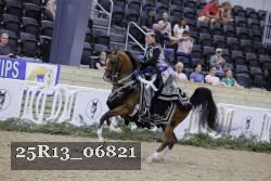25R13_06821 thumbnail