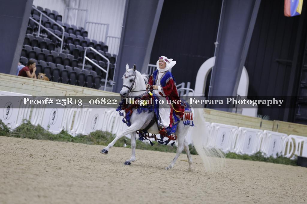 Proof Number 25R13_06822