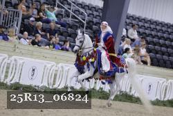 25R13_06824 thumbnail