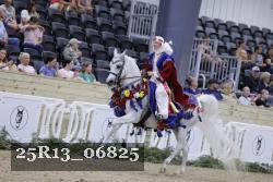 25R13_06825 thumbnail