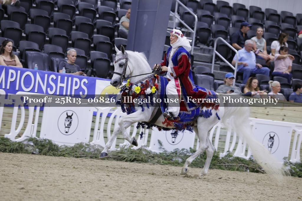 Proof Number 25R13_06826