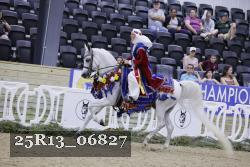 25R13_06827 thumbnail