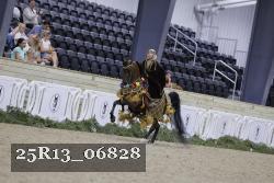 25R13_06828 thumbnail