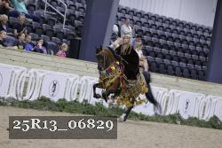 25R13_06829 thumbnail