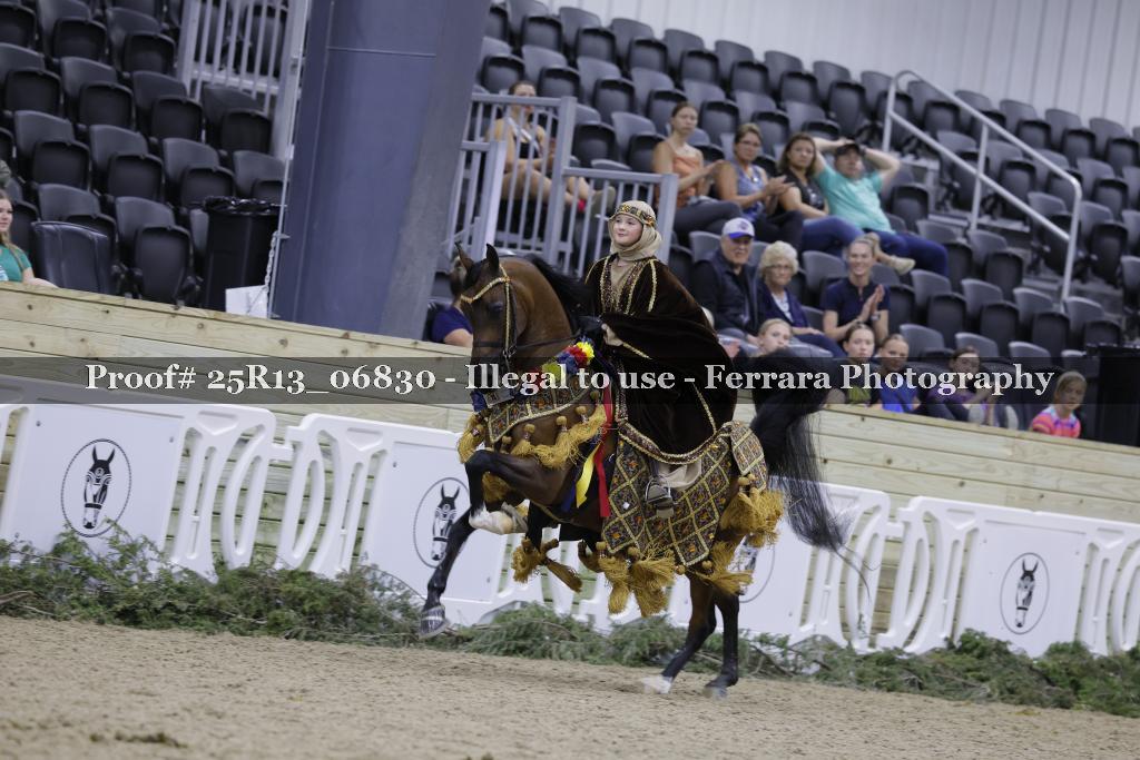 Proof Number 25R13_06830