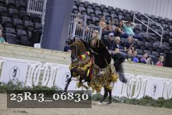 25R13_06830 thumbnail