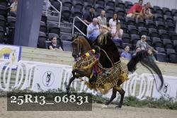 25R13_06831 thumbnail