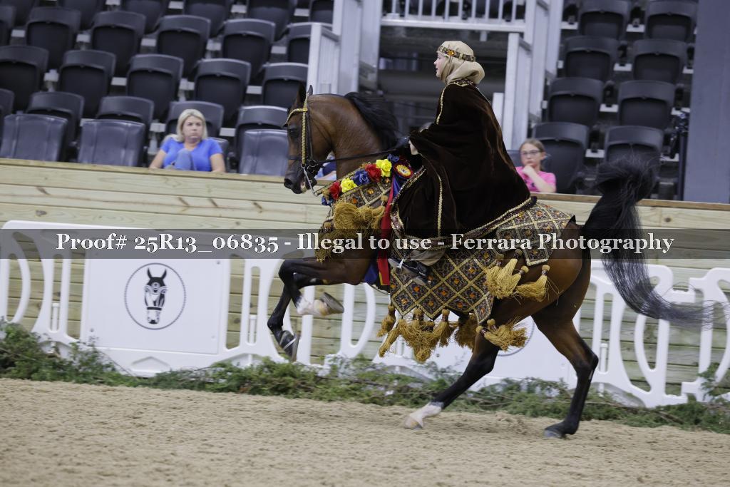 Proof Number 25R13_06835