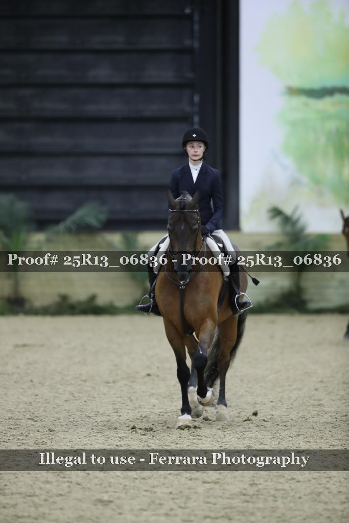 Proof Number 25R13_06836