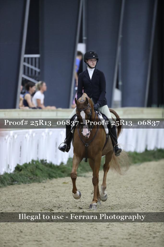 Proof Number 25R13_06837