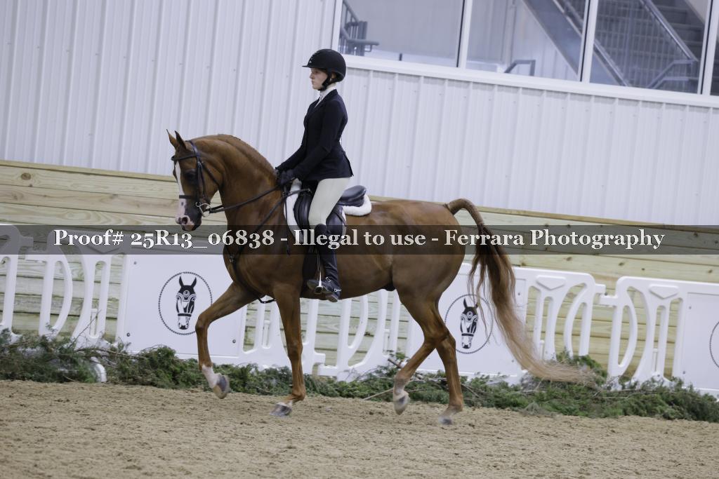 Proof Number 25R13_06838