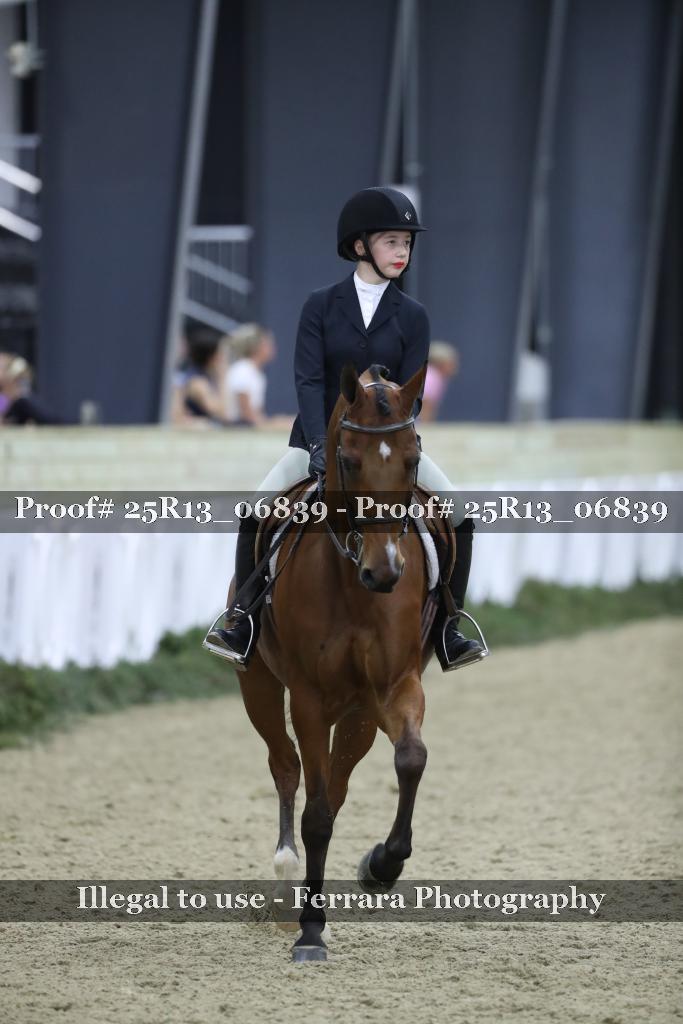 Proof Number 25R13_06839