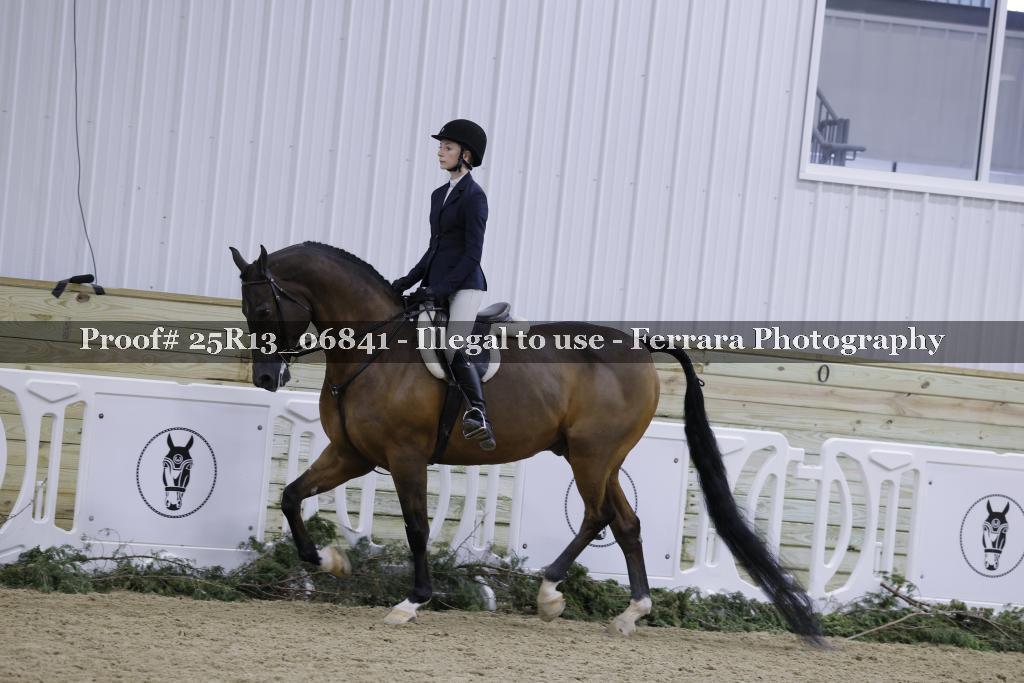 Proof Number 25R13_06841