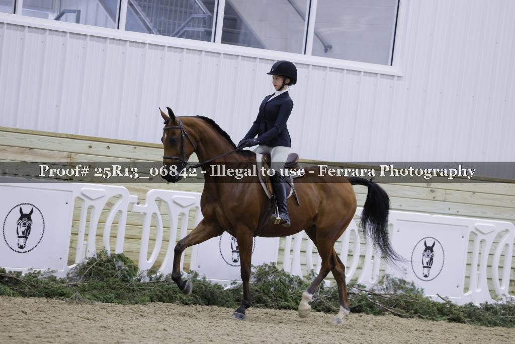 Proof Number 25R13_06842