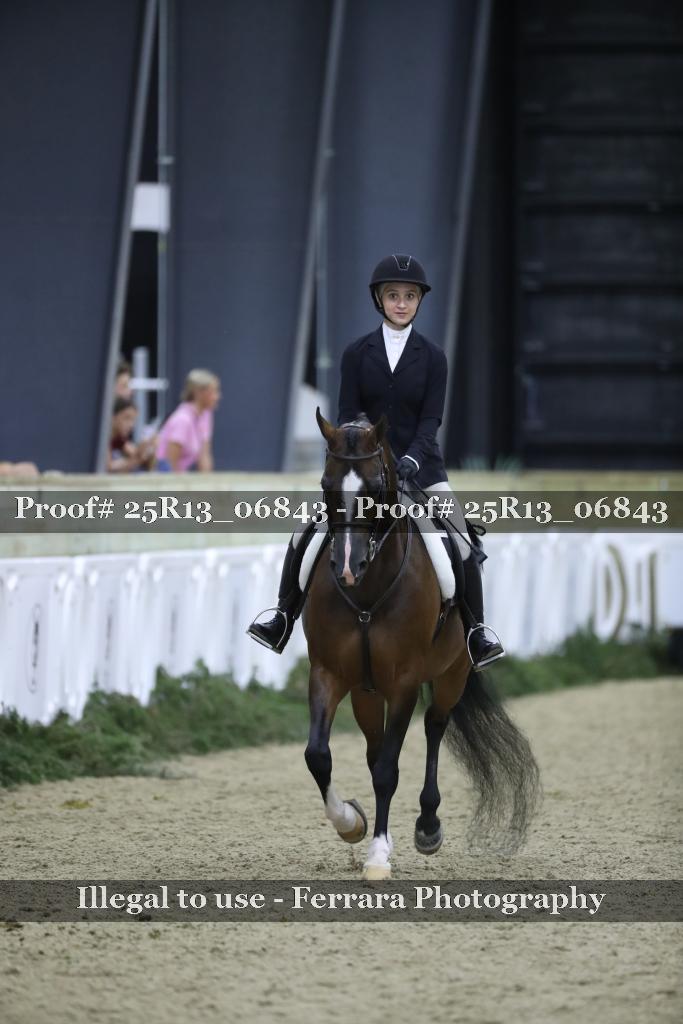 Proof Number 25R13_06843