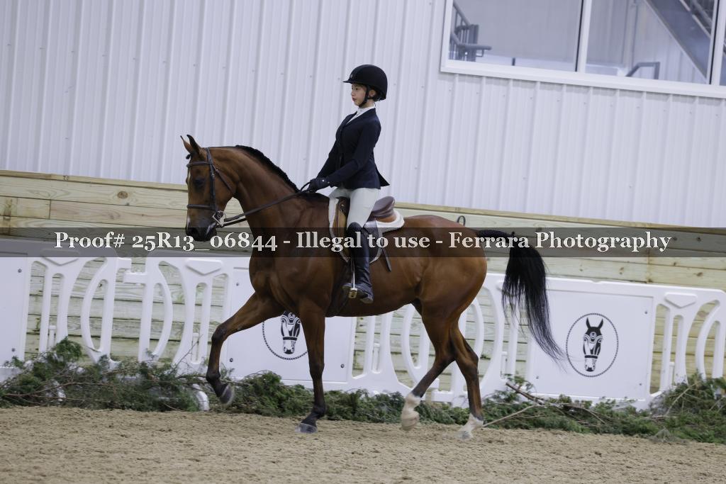 Proof Number 25R13_06844