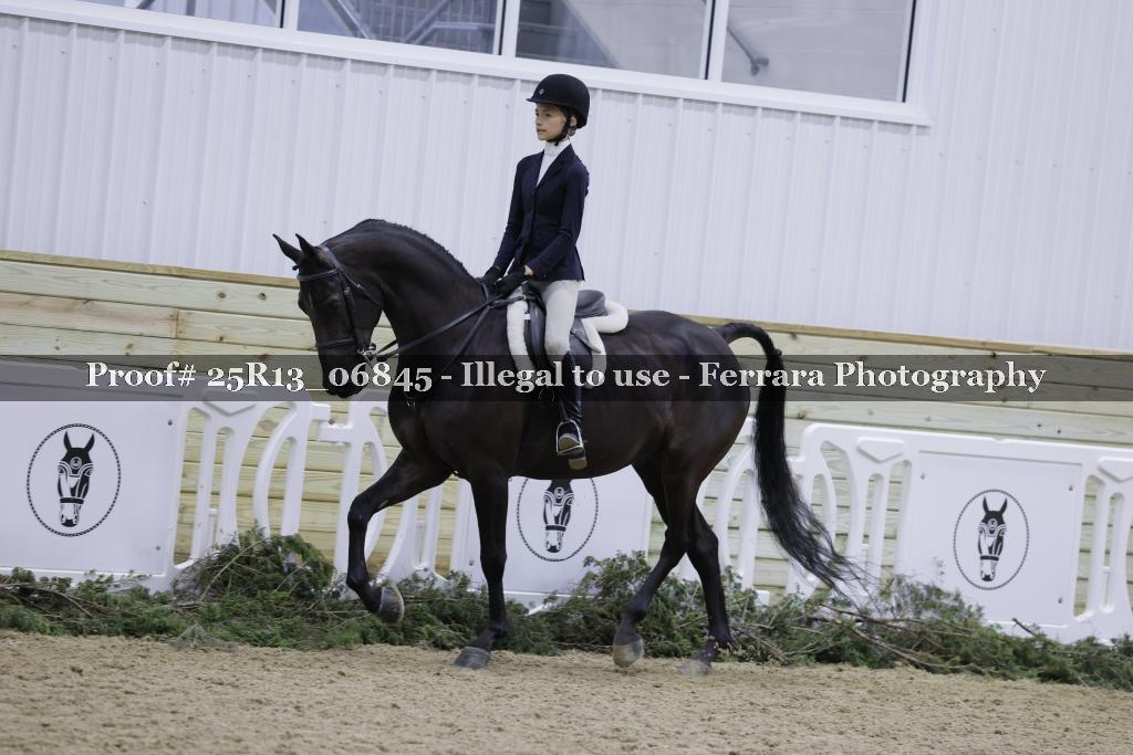 Proof Number 25R13_06845