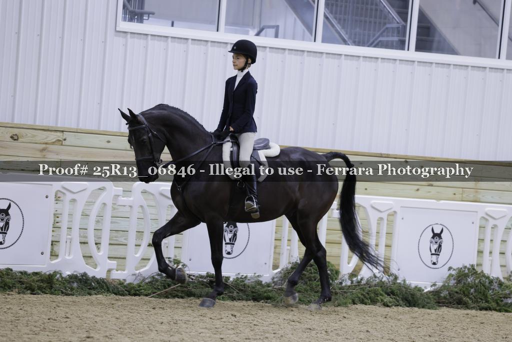 Proof Number 25R13_06846