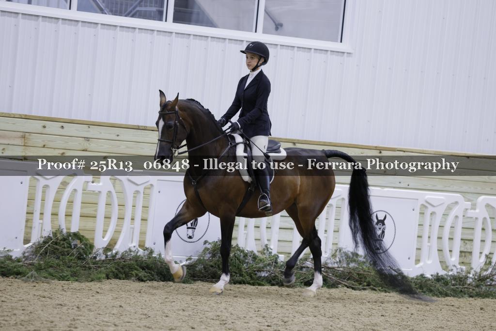Proof Number 25R13_06848