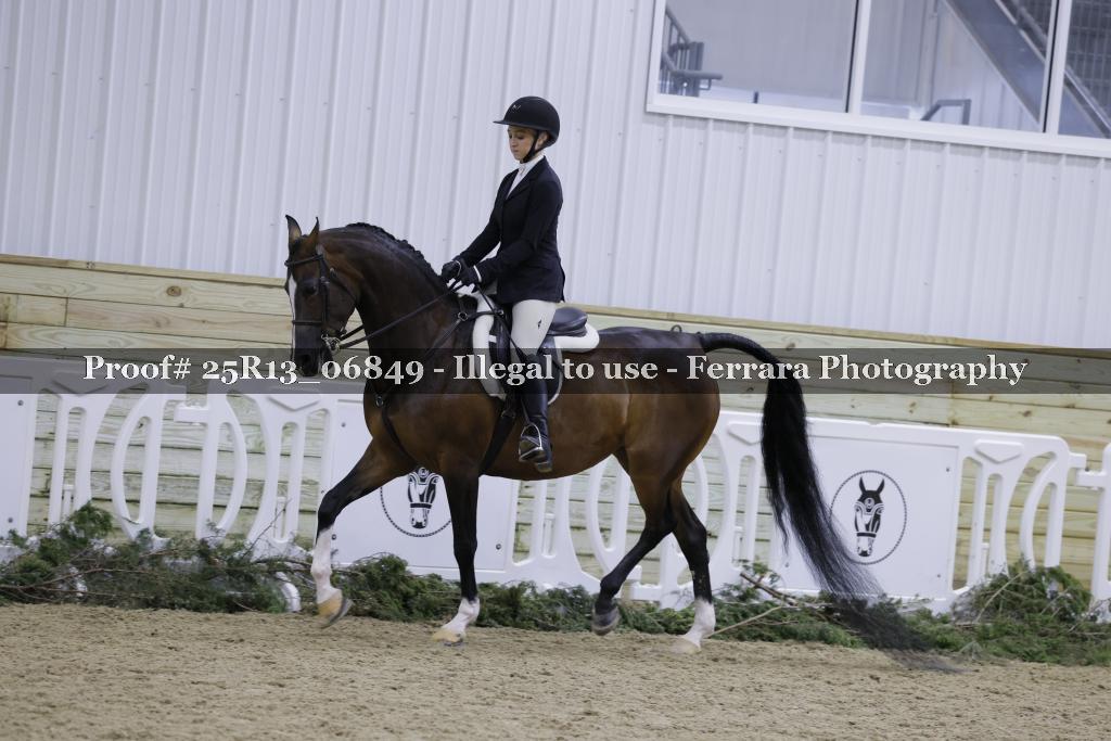 Proof Number 25R13_06849