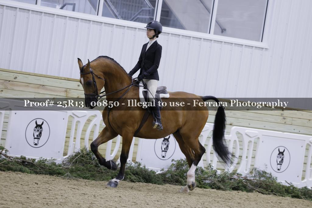 Proof Number 25R13_06850