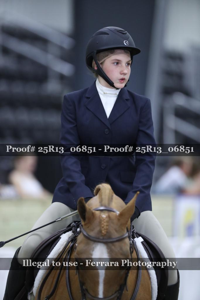 Proof Number 25R13_06851
