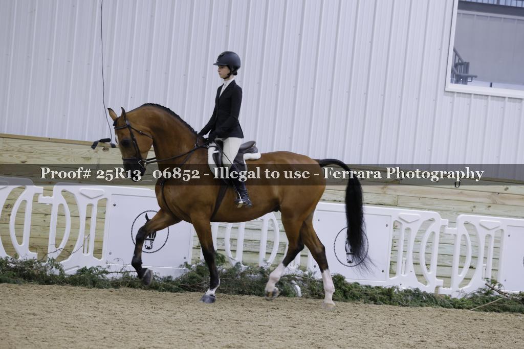Proof Number 25R13_06852