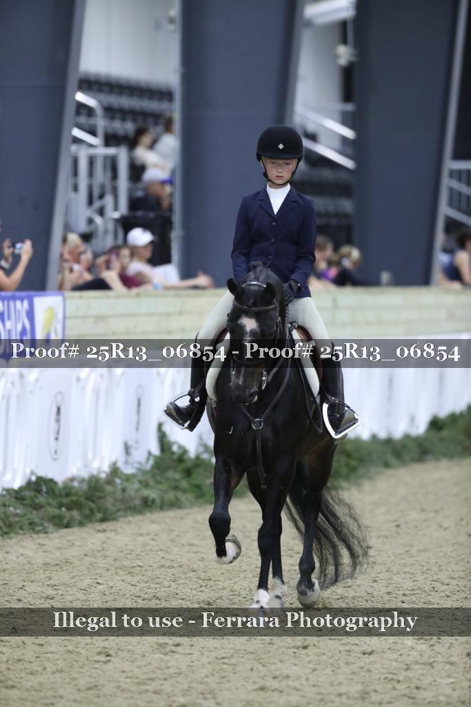 Proof Number 25R13_06854