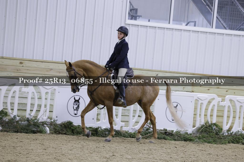 Proof Number 25R13_06855