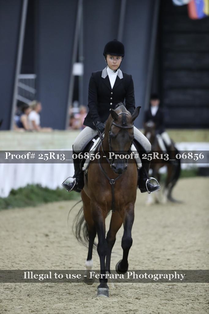 Proof Number 25R13_06856