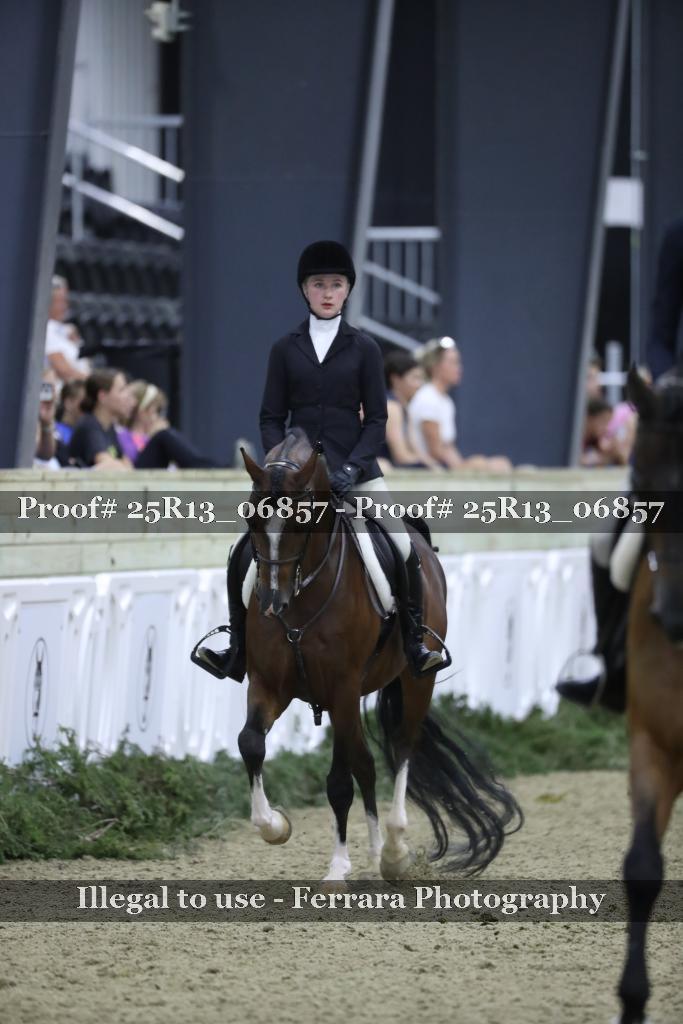 Proof Number 25R13_06857