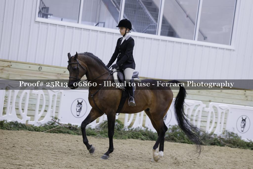 Proof Number 25R13_06860