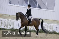 25R13_06860 thumbnail
