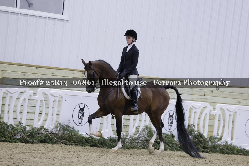 Proof Number 25R13_06861