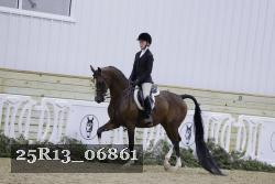 25R13_06861 thumbnail