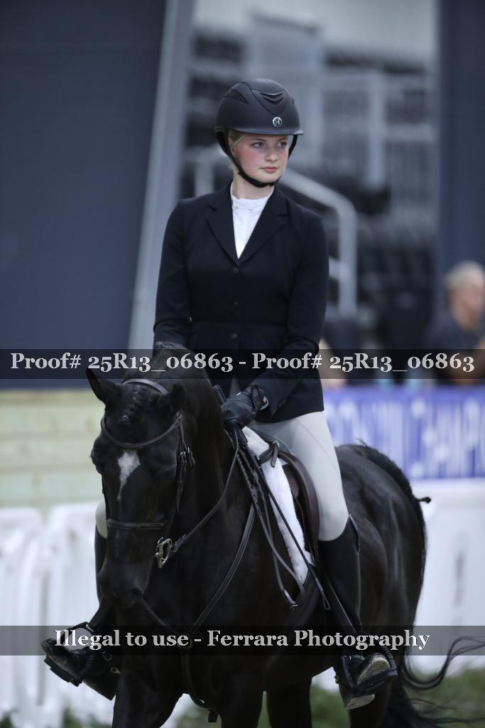 Proof Number 25R13_06863