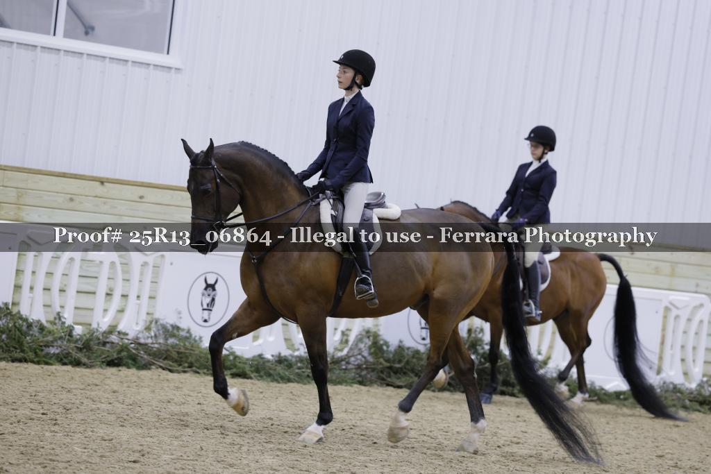 Proof Number 25R13_06864