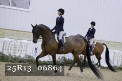 25R13_06864 thumbnail