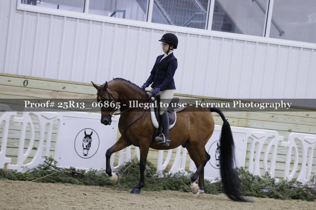 Proof Number 25R13_06865