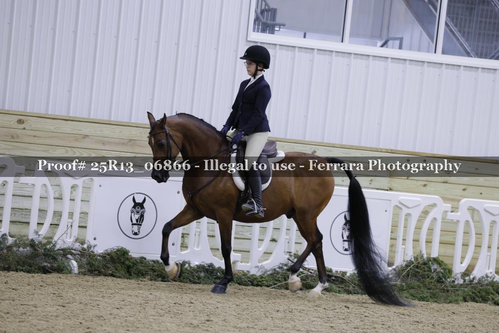 Proof Number 25R13_06866