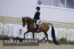 25R13_06866 thumbnail